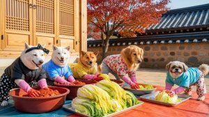 В доме Чиндоль-и сделали кимчжан! 🥬🐶 Начинаем готовиться к зиме! ☃️