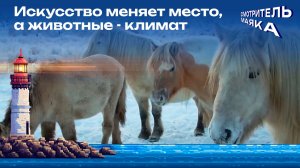 Искусство меняет место, а животные - климат | Смотритель маяка с Романом Маякиным