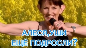 Весеннее увеличение  ушей АЛЕСИ