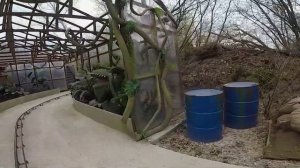 Динозавры Медведь в Парке (1080P_60FPS)