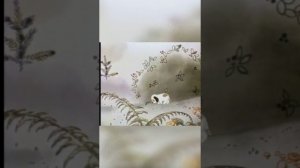 О само✨ценности 🧭каждого на земле "просто так" 😍🤗по праву рождения🌈☀️🌟