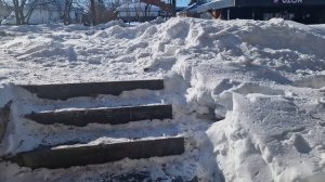 Покормите Свиристелей!