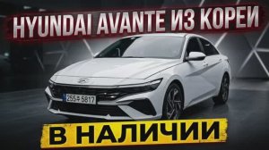 ЛЬГОТНЫЙ УТИЛЬСБОР | ELANTRA корейской сборки