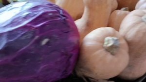 #путешествие по другим городам