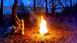 КАЙФАНУЛ по ПОЛНОЙ в ОДИНОЧКУ на ВОДОЁМЕ у КОСТРА