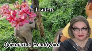 1 часть. Это БЫЛО 5 дней назад❗️