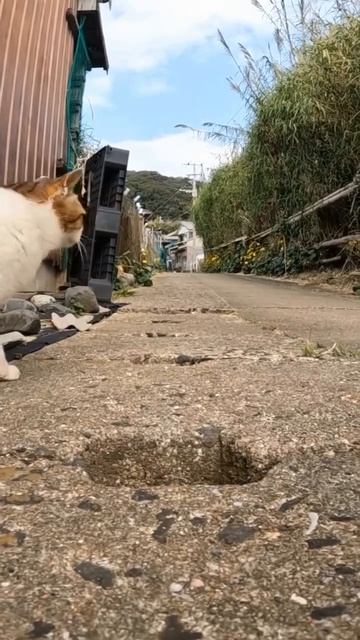 И кто это сделал?