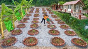 Строю множество круглых грядок из кирпичей для выращивания баклажанов. Серия 47. Ли Фук Ви
