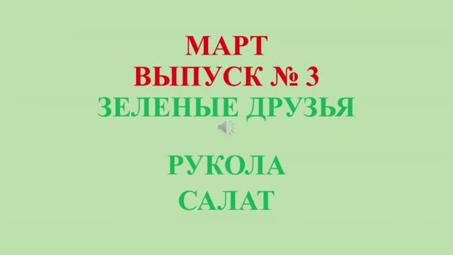 Зеленые друзья. Часть 3. Руккола. Салат.