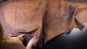 1,4-1,6 Кожа Крейзи Хорс Бургастон Виски к/к 203дм² (КЛ)