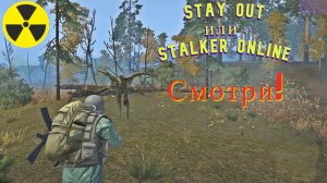 Убил 300. Задание: Проблемы с Верлиоками. Stalker Online. Stay out.(Сталкер онлайн)