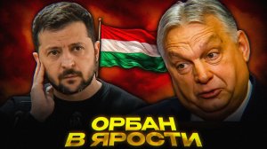 Почему Зеленский УГРОЖАЕТ Орбану