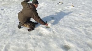 VID_20260310_120658_942