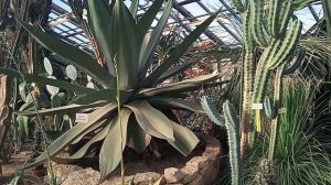 ботанический сад 2026