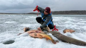 Сазаны-монстры! Такого не было никогда! Дедовская снасть лучше спиннинга