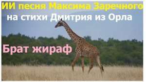 20260209 ИИ песня О шар брат жираф Ты шею тянешь к небесам Максима Заречного на стих Дмитрия из Орла