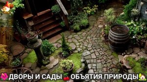 Дворы и сады 🍒 идеи оформления дачи в объятиях природы 🏡 (18) а