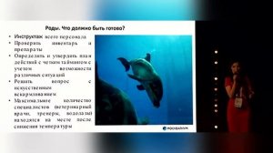 Мониторинг и ведение беременности, родов и послеродового периода у афалинСуворова Ирина Вячеславовн