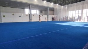 ЖП 1 юношеский разряд, Черникова Евгения - Черникова Дарья, МАУДО ДТДиМ, Комбинированное упражнение