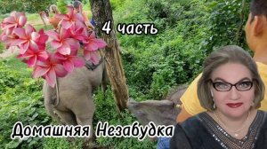 4 часть. Совет от кучи: гоните родственников и друзей❗️