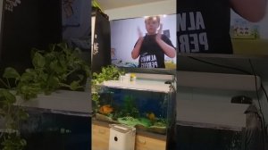 реакция на видео Тимофея