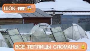 🟣МОЙ ПОСАДОЧНЫЙ СЕЗОН ЗАКОНЧЕН 🥲/ВЫКИДЫВАЮ РАССАДУ 😅🏠/5 теплиц сломаны
