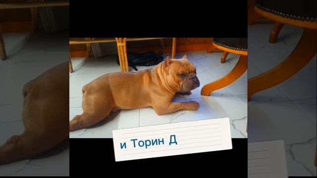 ПРЕМЬЕРА СЕРИАЛА РЕАЛ ЛАЙФФ 1 сезон 2 серия