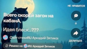 «Идея блеск???» песня про тигров