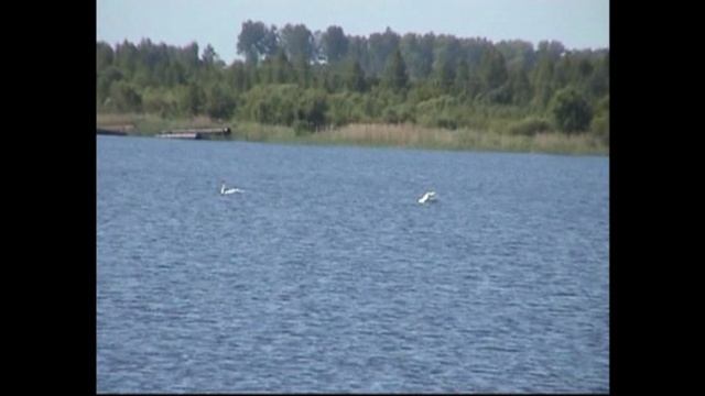 Песня.Весна!