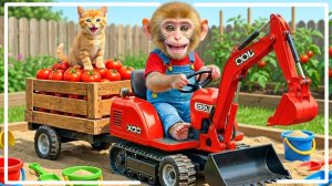 Мультики для детей про весёлую обезьянку которая собирает помидоры. Мультики про животных малышам