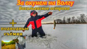ЛОВЛЯ ОКУНЯ НА ВОЛГЕ/ЗИМНЯЯ РЫБАЛКА 2026/ОКУНЬ НА БЛЕСНУ/РЫБАЛКА В МАРТЕ/РЕКА ВОЛГА/РЫБАЛКА В САМАРЕ