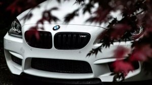 Жизненные песни