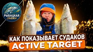 Рыбалка с Active Target. Как видно судака на эхолоте. Реальные поклевки.