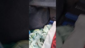Не работает левый поворотник и аварийка.