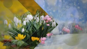 "Звенит январская вьюга" (А.Зацепин,Л.Дербенёв) - поёт Татьяна МИТЬКОВСКАЯ