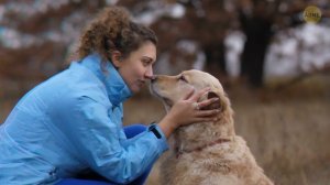Дельфины образовали круг вокруг них по страшной причине