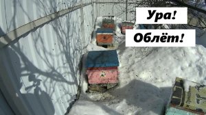 Облёт 10 марта 26 года