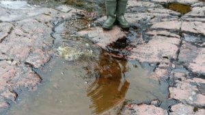 Рыболовный сплав по реке Кутсайоки 2 часть Сентябрь 2023 г