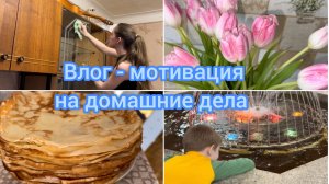 Влог мотивация домашние дела