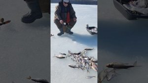 Рыбалка на Лохово(продолжение).