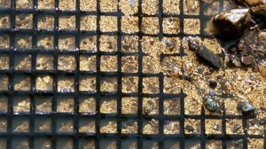 По тихому мою Золото минишлюзом!