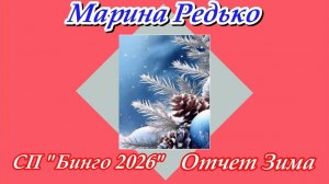 СП "Бинго 2026" / Отчет зима/ Участник 70