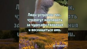 Спасибо Господи за всё 🙏🙏🙏