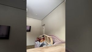 79484270554__591CB0F6-CF39-4CD7-A870-7EEE82F442F7