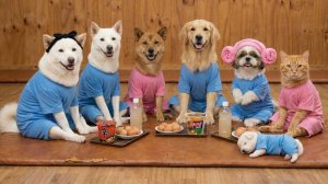 Полный комплекс в ччимджильбан! Хорошо пропарились и сытно поели ♨