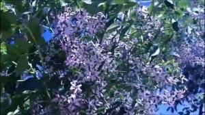 Три знака зодиака, кто получит ДАР с 10 марта.