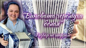 ВИНОВАТА ЧЕРЁМУХА БЕЛАЯ ► Разбор на гармони по цифрам