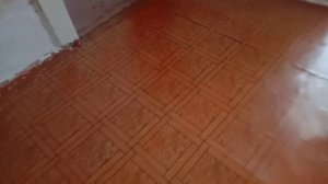 Елена Паловна 1910