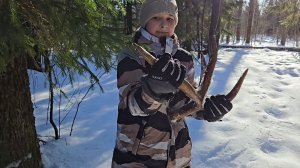 О пользе  трения, новосёлы в Совином Доле и подарок от Лешего на 8 Марта