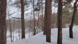 Я - начальник, а ты - ...